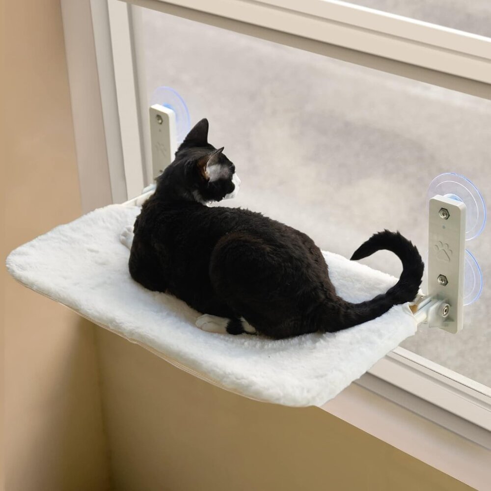 New MEWOOFUN Cat Hammock - Window Perch with Strong Suction Cups